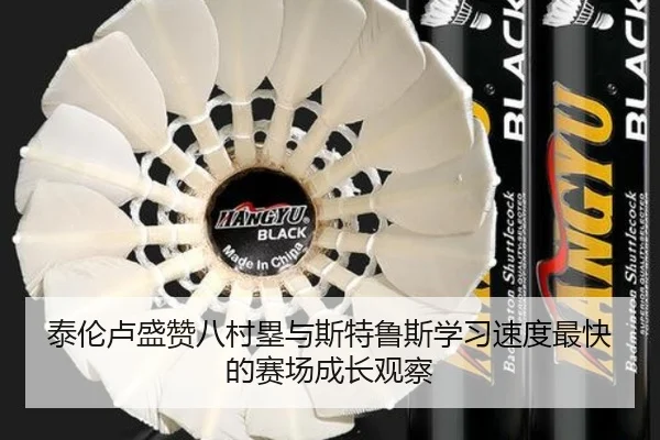 泰伦卢盛赞八村塁与斯特鲁斯学习速度最快的赛场成长观察（Kaiyun）